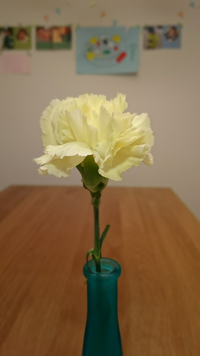0402aeae f39f 441c a707 17bb01d3531b s