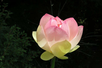 D6b0eb52 930c 442e 96d1 01b5fa9e07f7 s