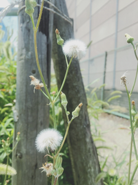 D72e5995 536c 4fec bfbc 9c60cbfae81d s
