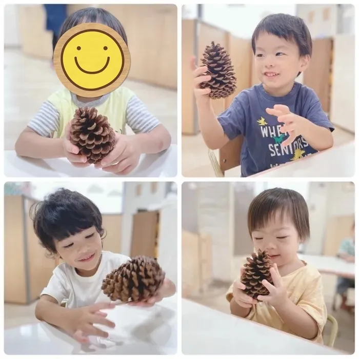 めるへんキッズ南大井園【見学随時受付中！】/＼おっきぃ👀／まつぼっくりで秋を感じよう！