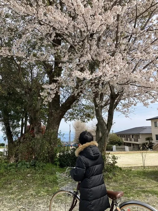 デイサービス　たすかる/花見見学🌸