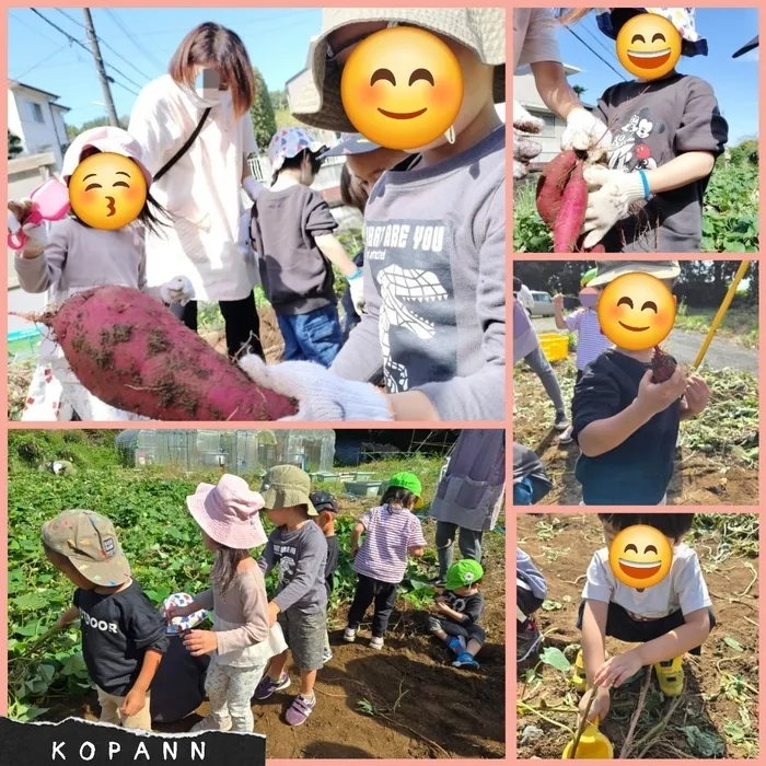 こぱんはうすさくら 根戸教室/芋掘り🍠