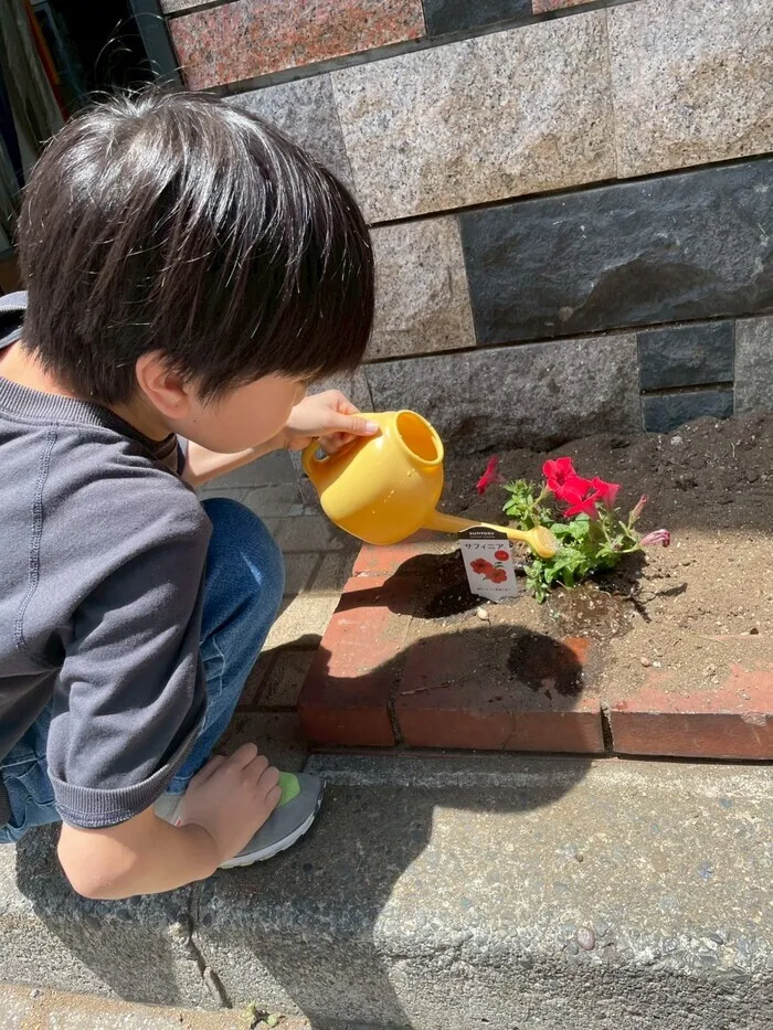 夢門塾白楽/花壇のおはな
