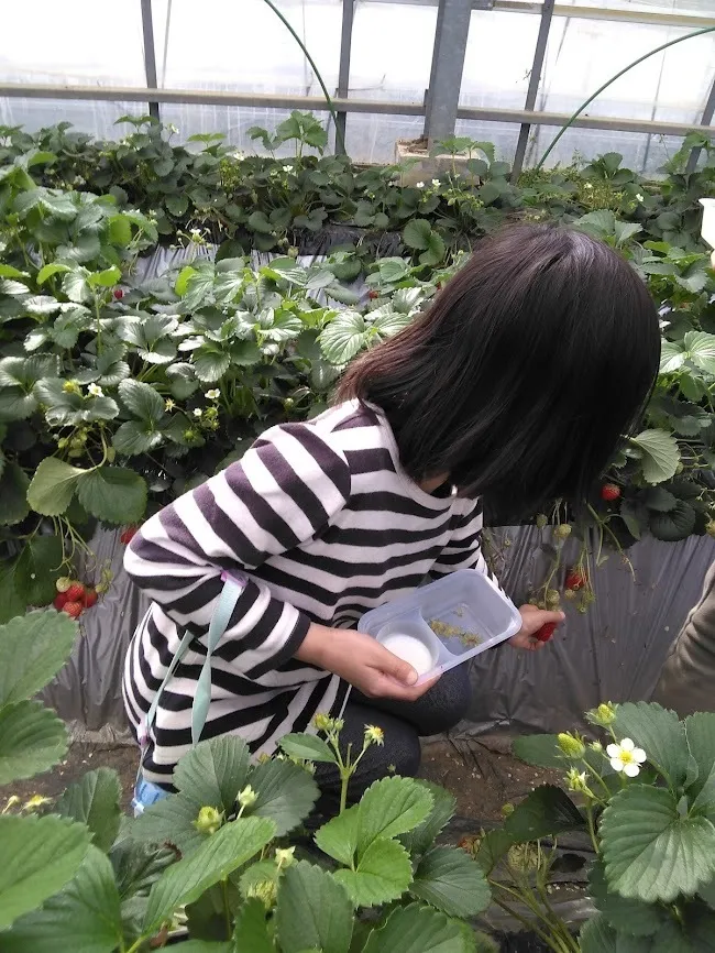 夢門塾白楽/津久井浜観光農園