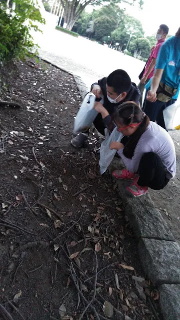 夢門塾淵野辺/★秋を探しに公園に行こう★