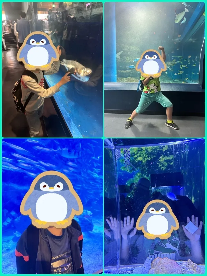 夢門塾相模大野/🐬︎品川アクアパーク🐠🫧‪〜水族館内編🦈〜