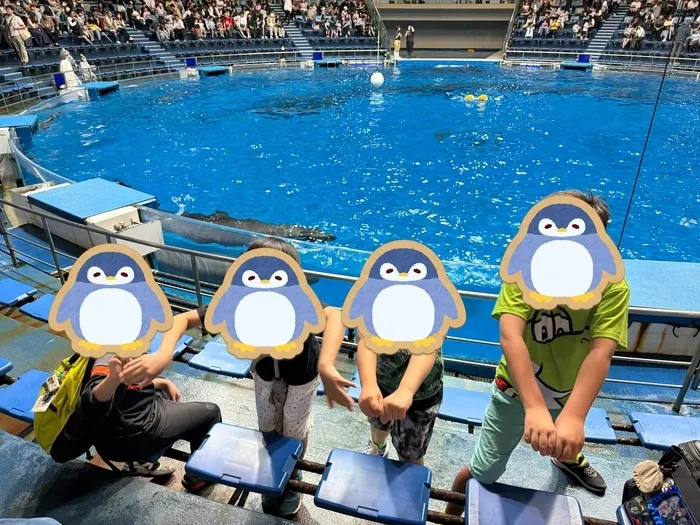 夢門塾相模大野/🐬︎品川アクアパーク🐠🫧‪〜イルカショー🐬編〜