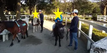 夢門塾相模大野/ポニー乗馬体験🎵🎵