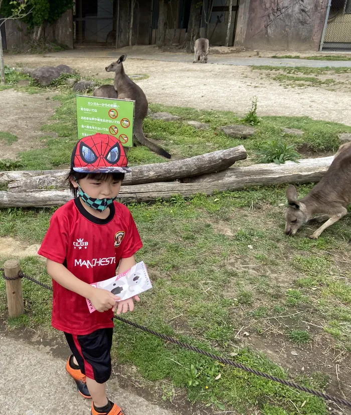 夢門塾磯子/🦓🦩土曜日は、「動物園」へ❗️🐘🦒