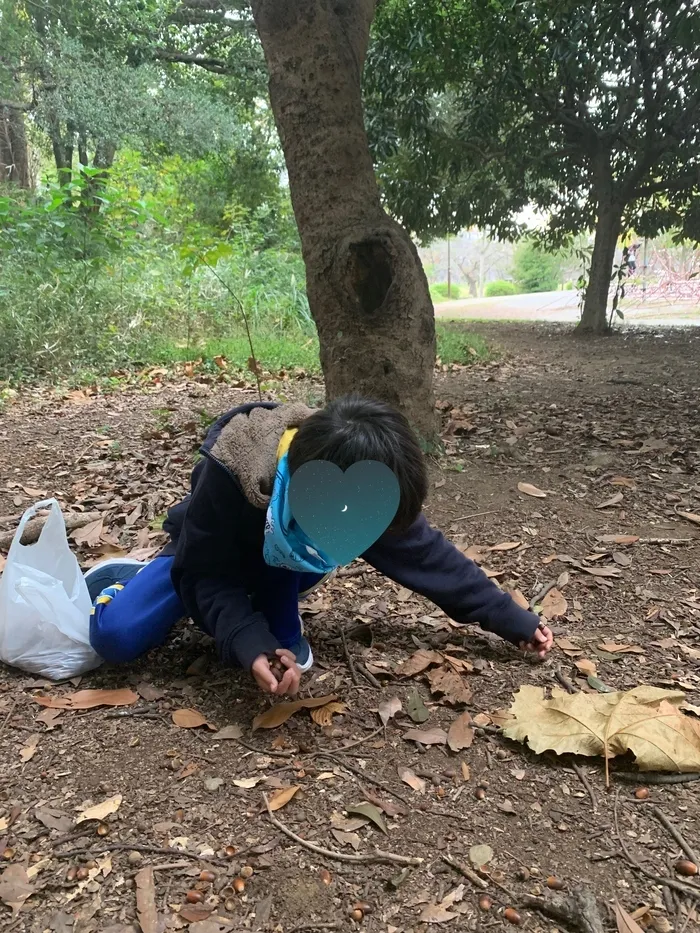 夢門塾磯子/🌳 公園遊び🪵