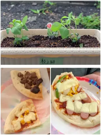 夢門塾磯子/🍅🫑「野菜を植えよう」とピザ🍕作り