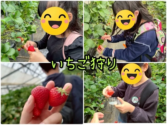 ブー・フー・ウー/甘い春の思い出🌸笑顔はじけるいちご狩り🍓