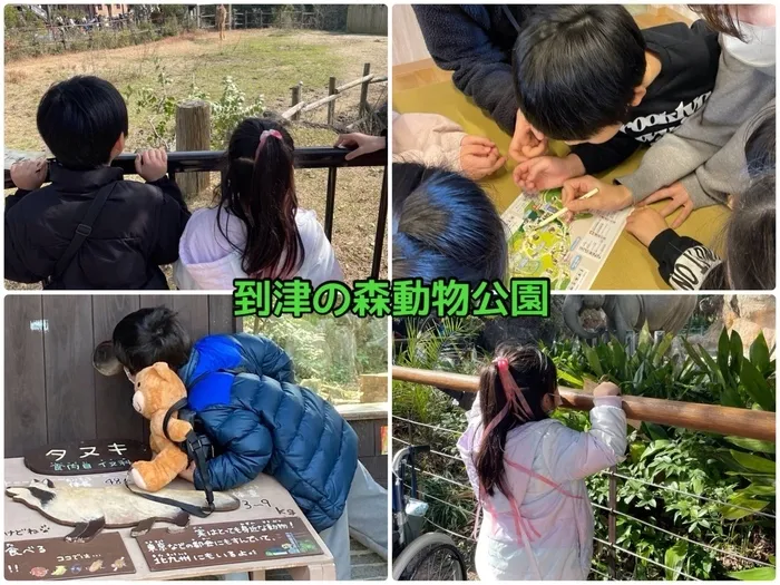 ブー・フー・ウー/地図を片手に大冒険！わくわく動物探索✨到津の森🐘🧡