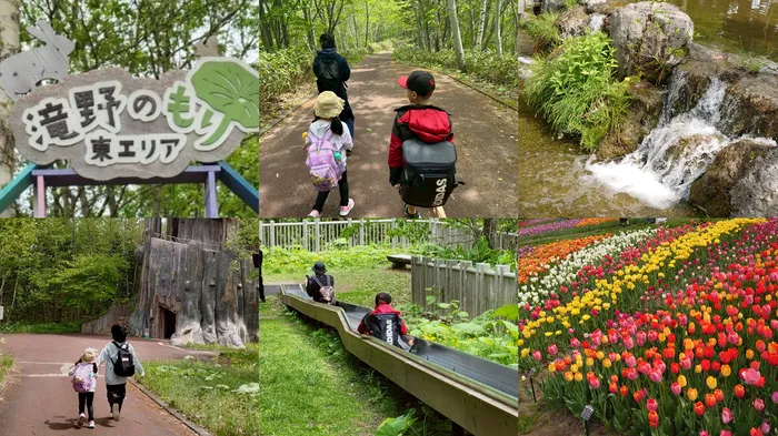 放課後等デイサービスかなで/🌷滝野すずらん公園🌷