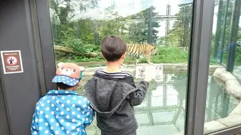 ぽっかぽか/🐎　円山動物園　🐒