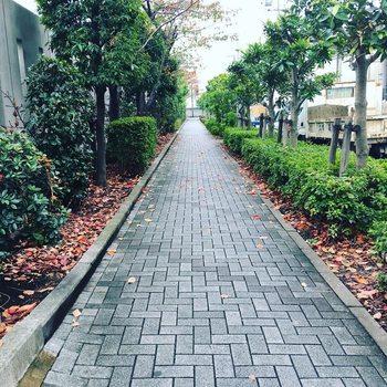 キッズわんデイサービスつるみ/外部環境