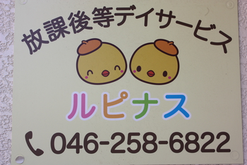 ルピナス