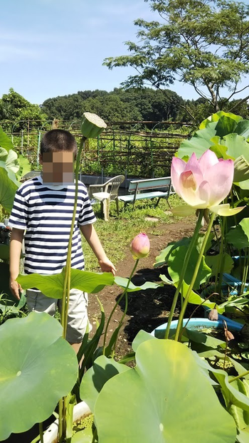 いっぽいっぽ大宮氷川台/日常の支援風景