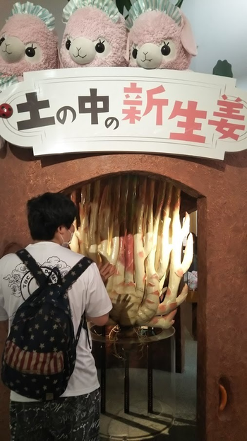 いっぽいっぽ大宮氷川台/イベントの様子