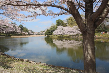 いっぽいっぽ大宮氷川台/外部環境