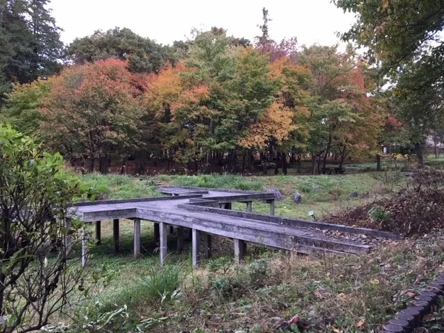 ハッピーテラス南宇都宮教室/紅葉ウォーキング  in  とちぎ健康の森