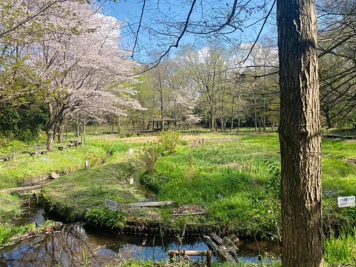 ハッピーテラス南宇都宮教室/磯川緑地公園を散策してきました♪