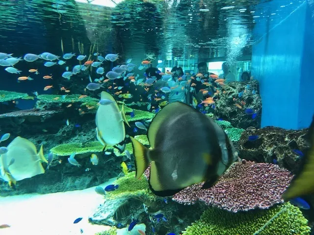 ハッピーテラス南宇都宮教室/なかがわ水遊園へ行こう！