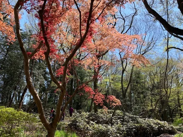 ハッピーテラス南宇都宮教室/公園に行ってきました。