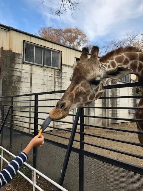 ハッピーテラス南宇都宮教室/宇都宮動物園に行ってきました♪