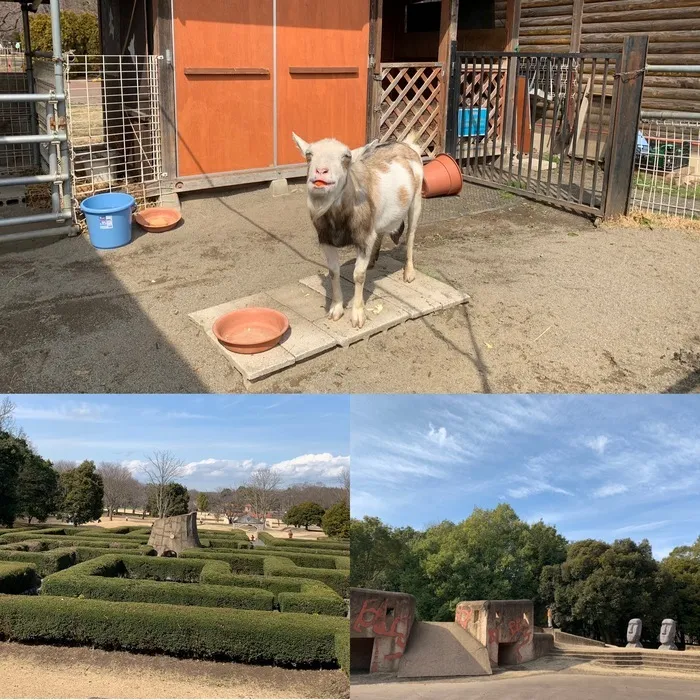 ハッピーテラス南宇都宮教室/わんぱく公園に行こう！