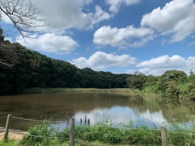 ハッピーテラス南宇都宮教室/町の中のビオトープを探そう