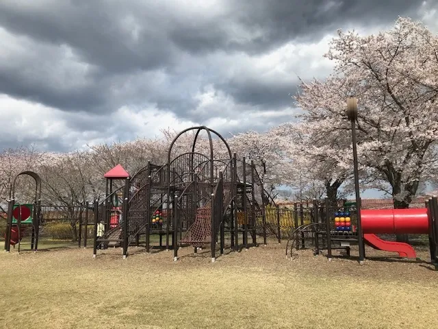 ハッピーテラス南宇都宮教室/東雲公園に行ってきました♪