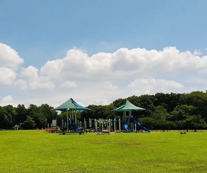 ハッピーテラス南宇都宮教室/みずほの自然の森公園へ行きました♪