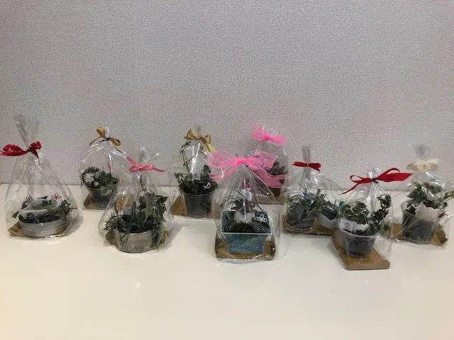 ハッピーテラス南宇都宮教室/ミニ寄せ植えを作ろう