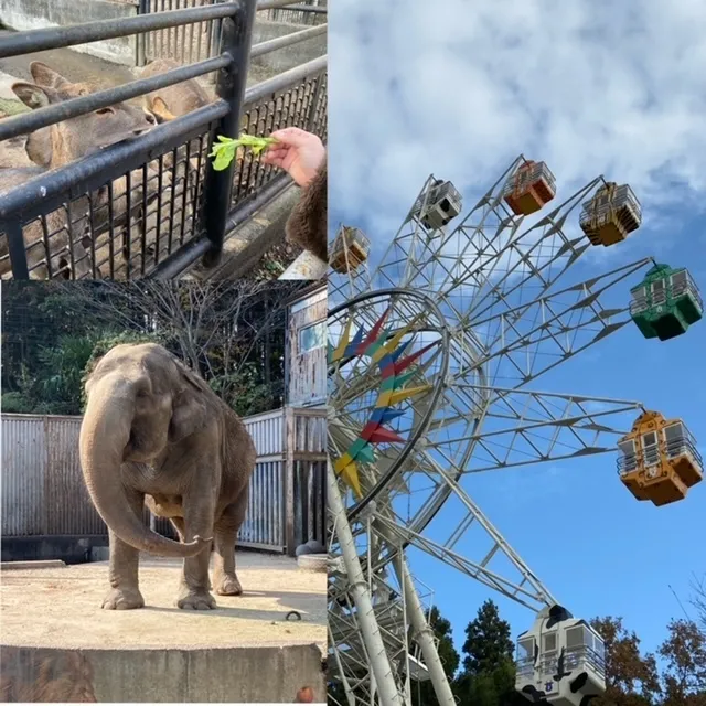 ハッピーテラス南宇都宮教室/宇都宮動物園へ行こう！