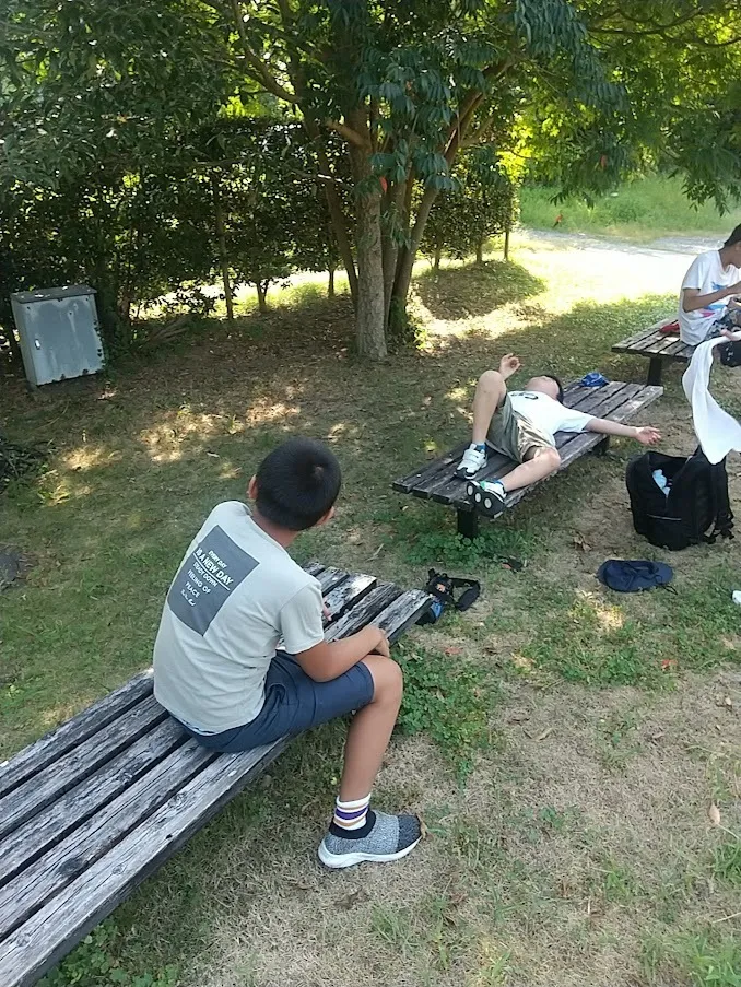 フレンズ/森林の中で森林浴散歩in舞台芸術公園😄🚗🌳🌲