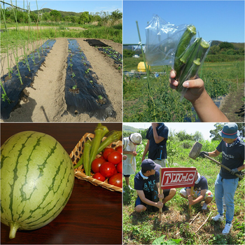 有永寮障害児通所支援/その他