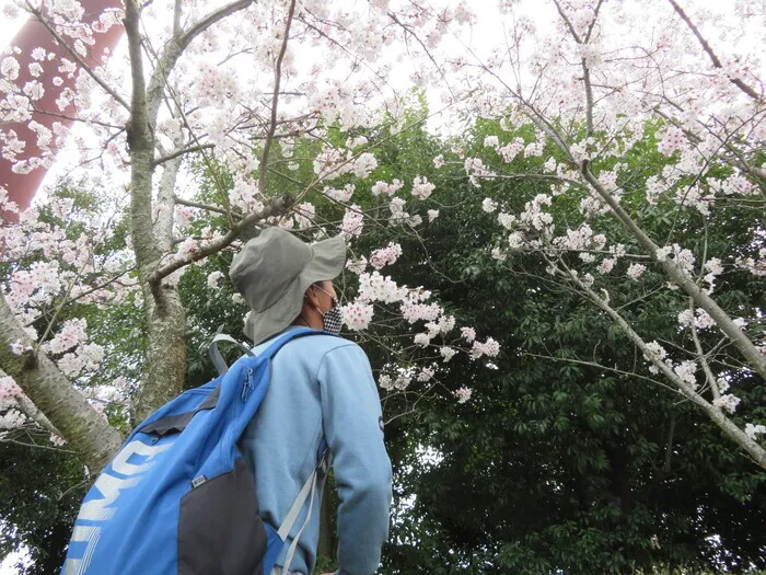 有永寮障害児通所支援/お花見🌸⚽