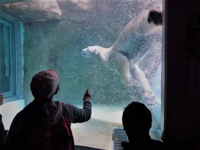 放課後等デイサービス　ひまわり/春の遠足　　～日本平動物園～