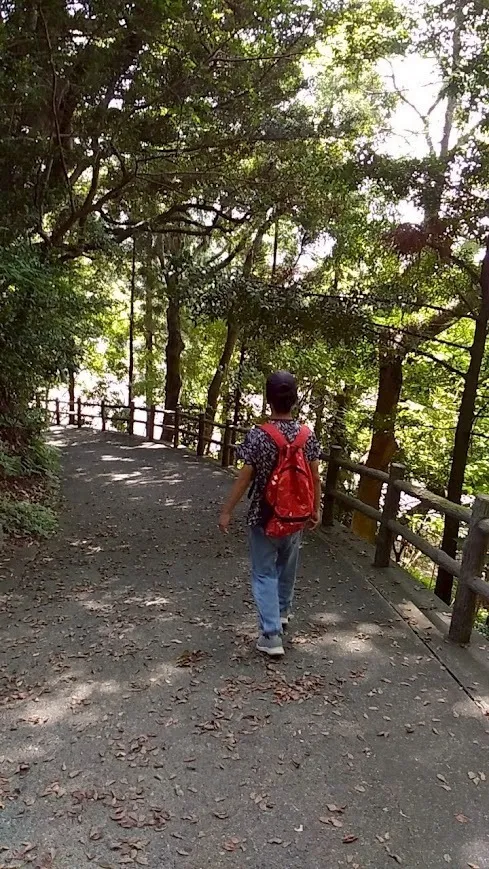 放課後等デイサービス　ひまわり/電車で清水山公園へ！