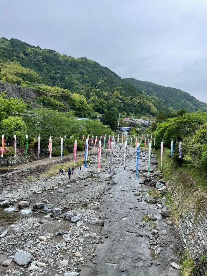 放課後等デイサービス　ひまわり/入山親水公園へ「こいのぼり」を見に行こう！