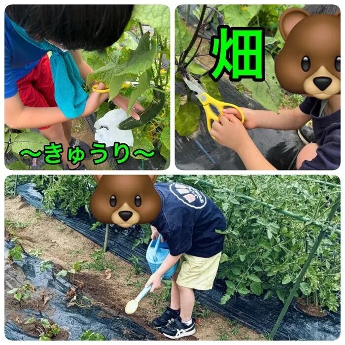児童デイSES三島校/生命力を感じよう！～畑作業🍅🥒🍆～