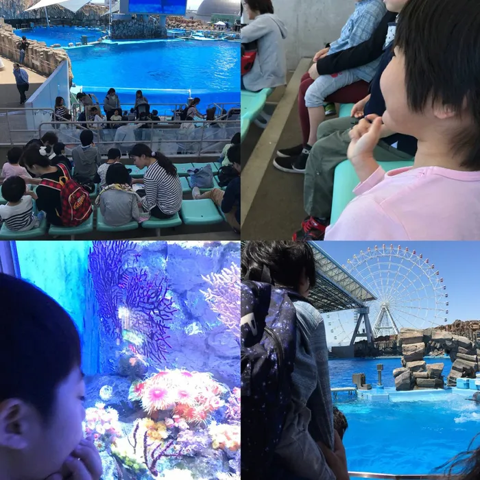 チャイルドケアハースラーニング/水族館へ遠足