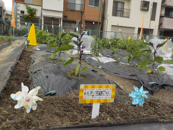 きずな立売堀/その他