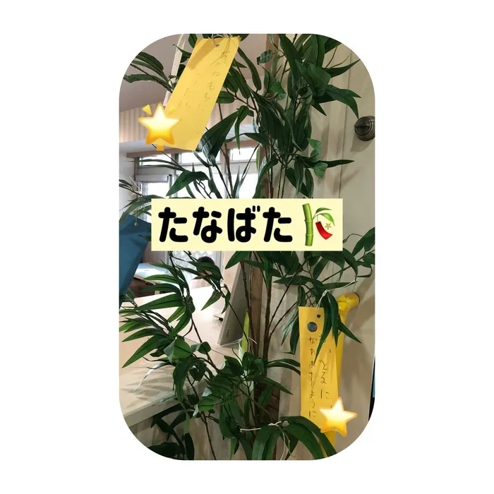 せかいのかたち2nd/短冊を飾っています🎋