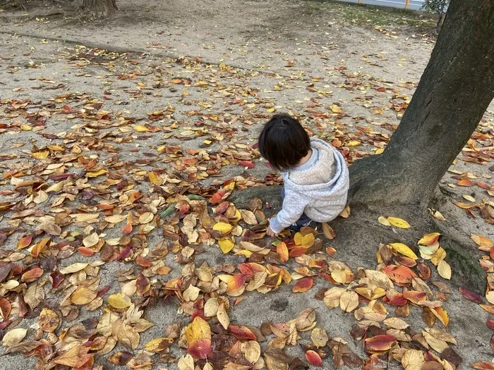 せかいのかたち2nd/落ち葉を感じる🍁