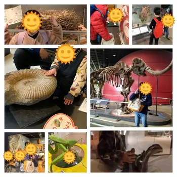 Sunはーとキッズ/兵庫県立人と自然の博物館に行きました