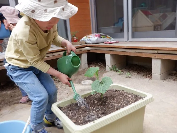 児童発達支援西宮たんぽぽ（つぼみ）/苗植え