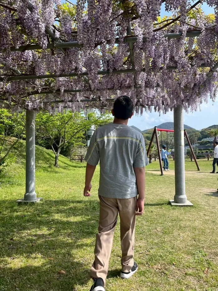 放課後等デイサービスいるかキッズ/下がるほど 人の見上げる 藤の花