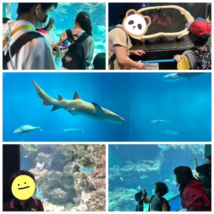 JYU×JYUステーション/🌸春の遠足ｉｎ美ら海水族館🌸